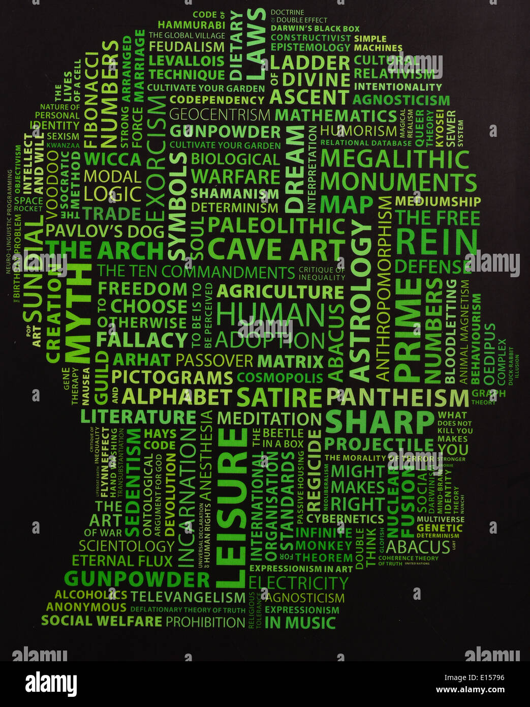 human head filled with words Stock Photo