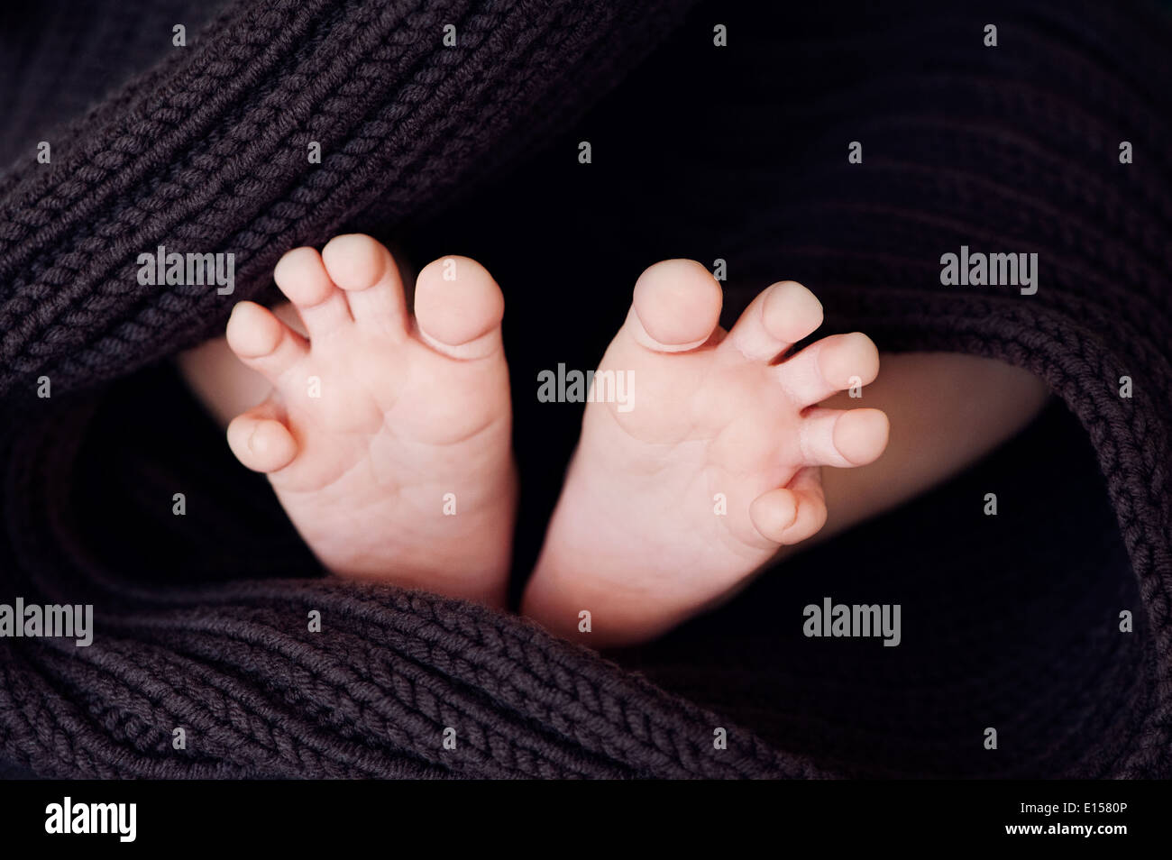 Newborn baby feet on soft brown blanket Stock Photo