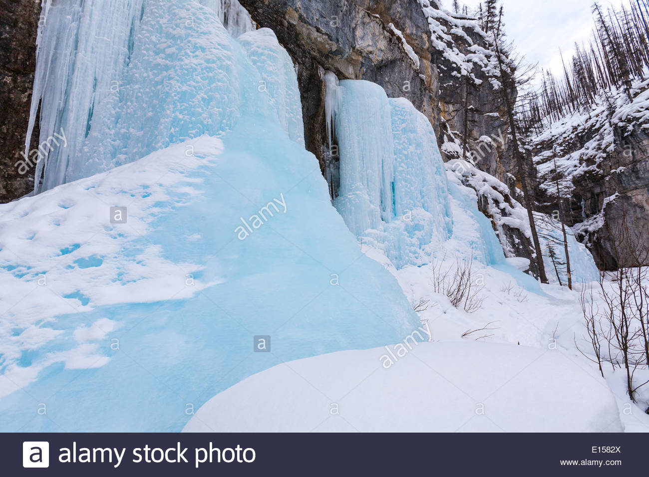 No Dead Body High Resolution Stock Photography and Images - Alamy