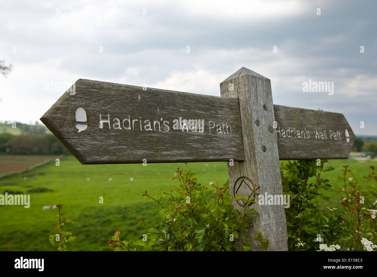 signpost for hadrians wall path northumberland uk Stock Photo
