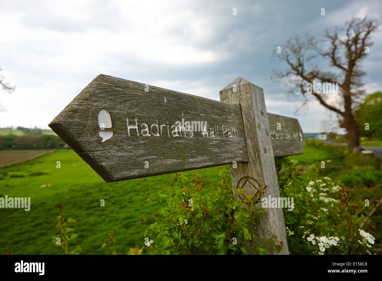 signpost for hadrians wall path northumberland uk Stock Photo
