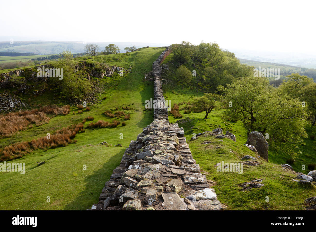 section of hadrians wall at walltown crags northumberland uk Stock Photo