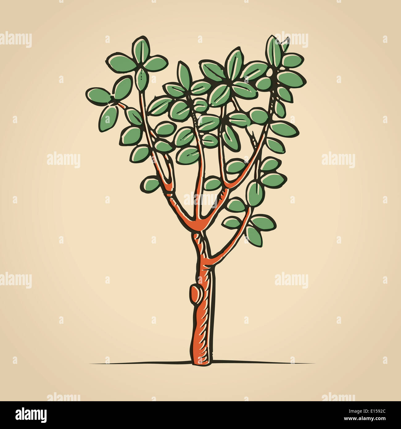 a tree in medieval woodcut print style Stock Photo