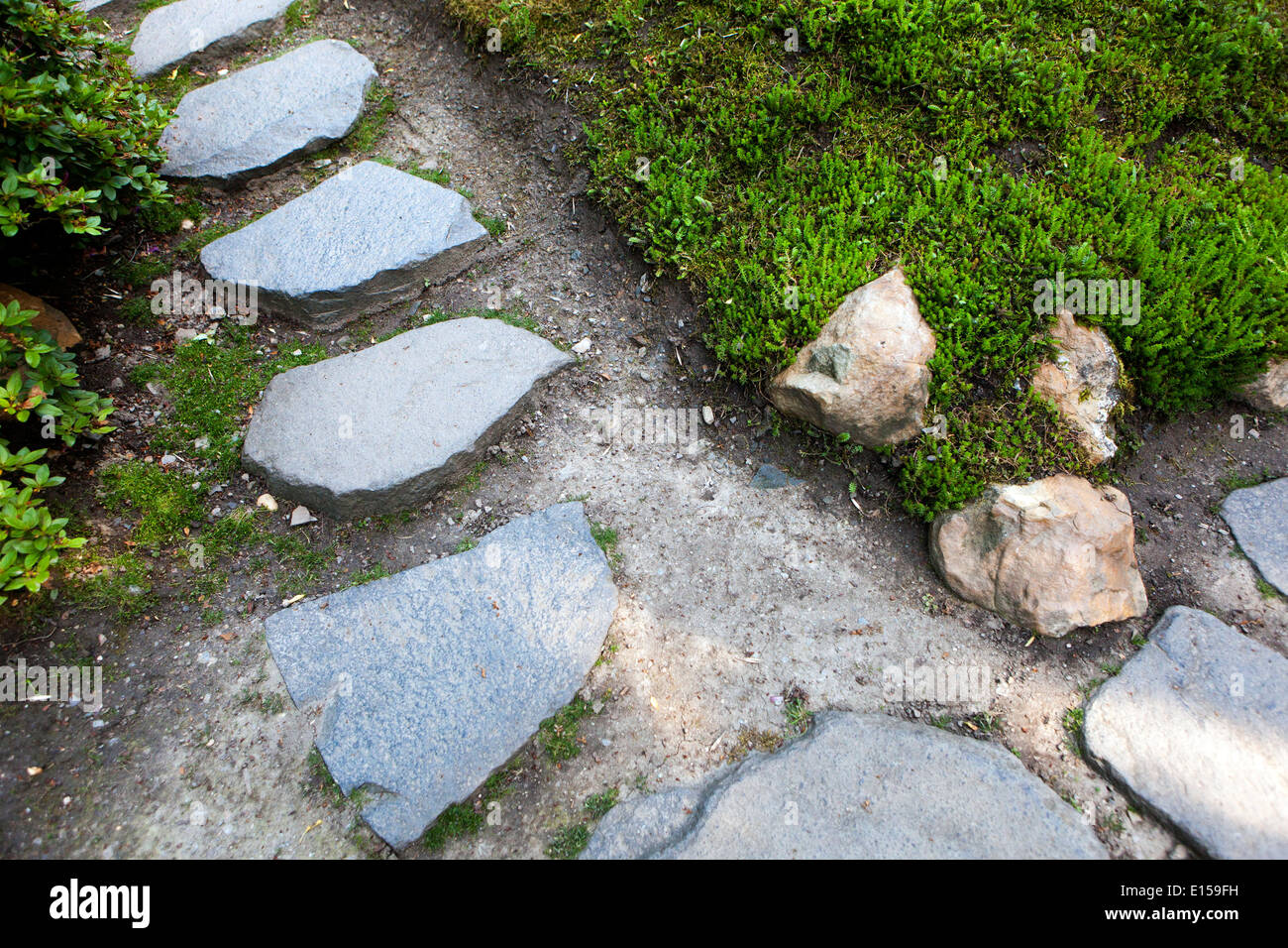 Garden path, Stepping stones in grassy green lawn Stock Photo