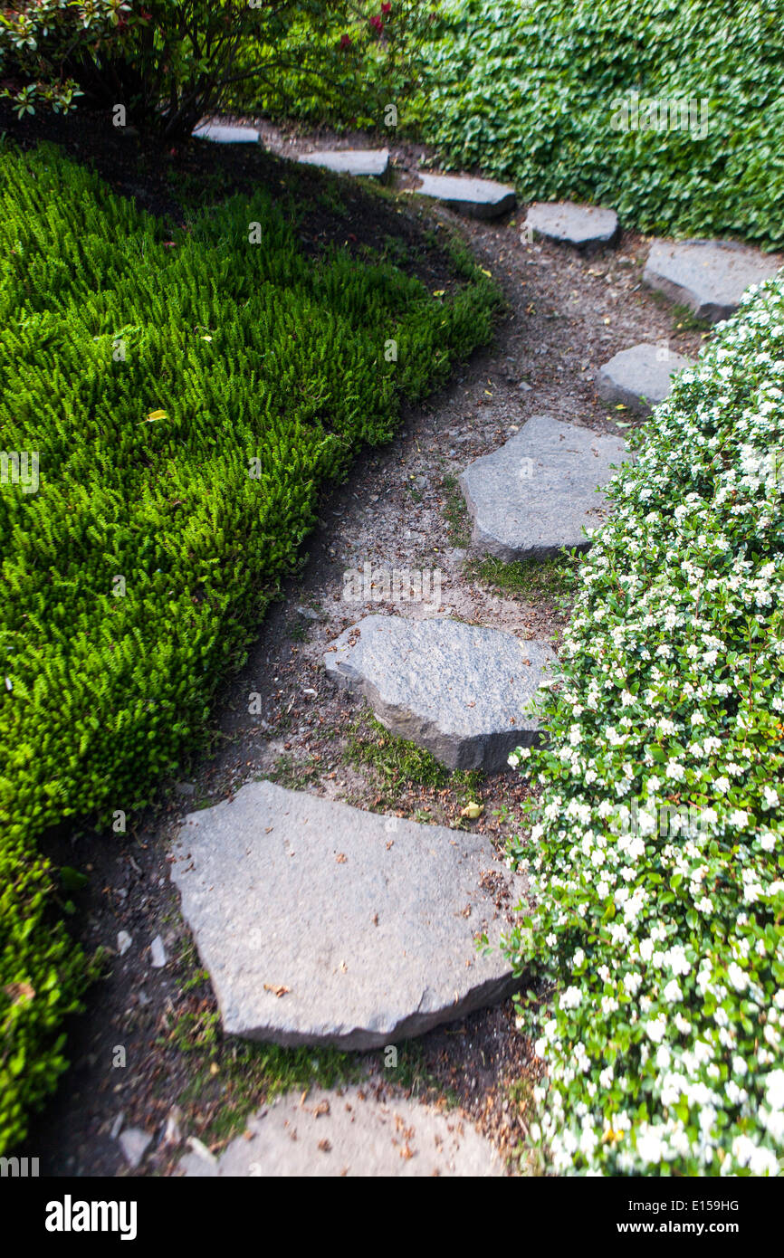 Garden path and stone pathway in grassy green lawn winding path garden Stock Photo