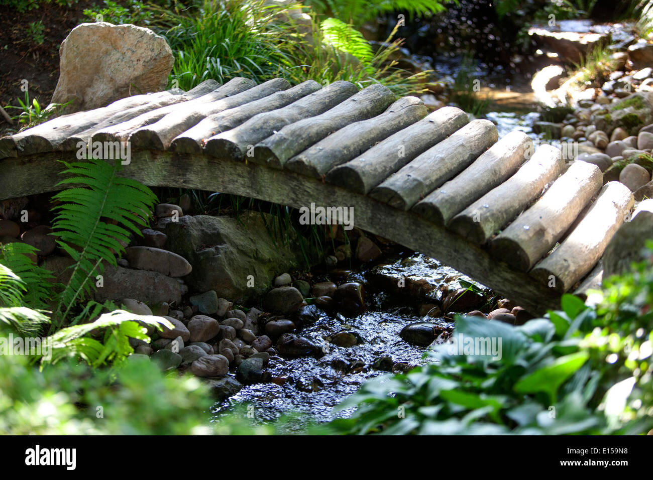 Bain d'oiseaux dans un jardin japonais Photo Stock - Alamy