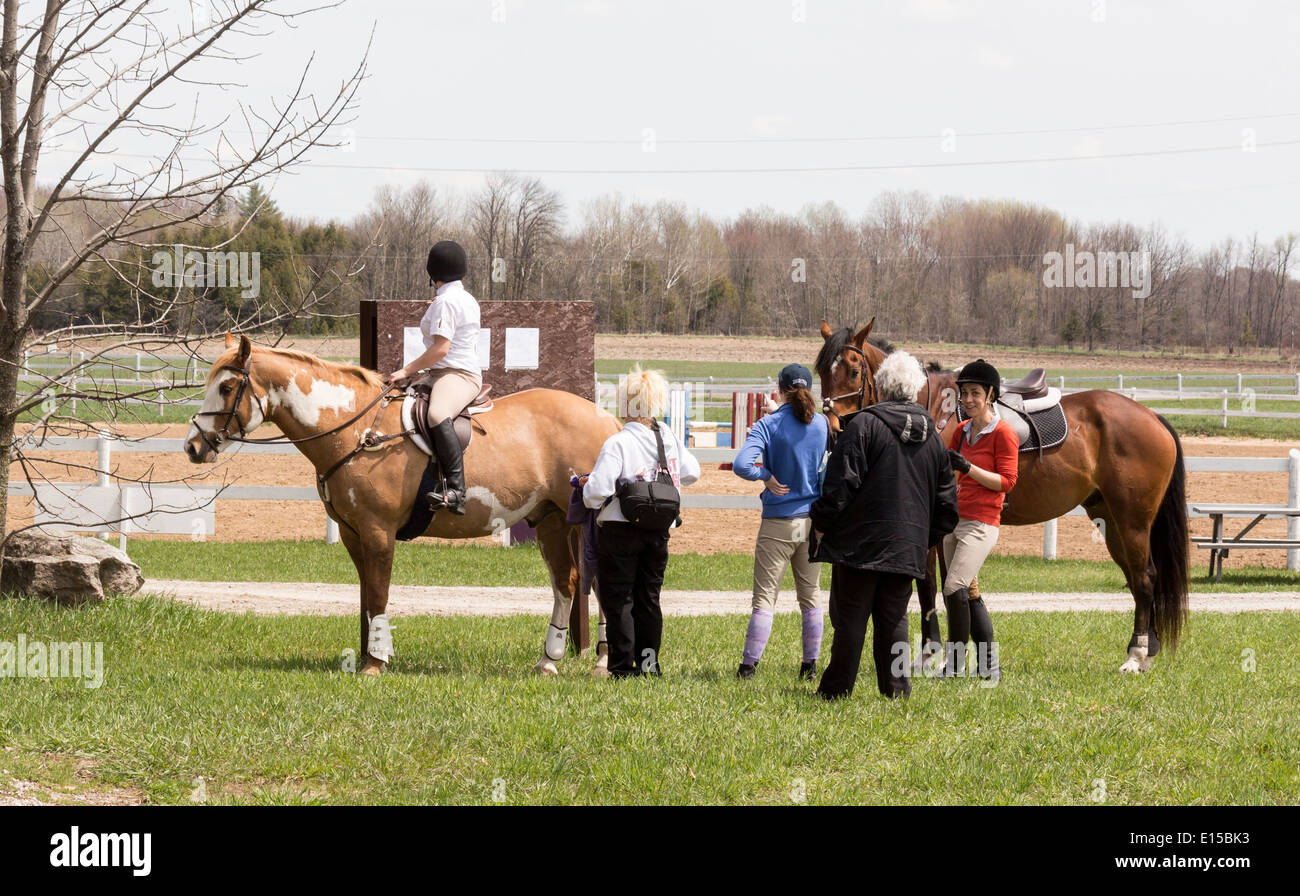 Riders and family studying the jumping course order board with brown and white paint horse and bay horse. Stock Photo