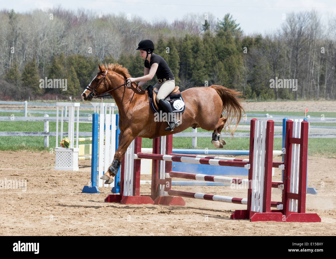 Teenage girl rider on chestnut horse jumping over oxer spread jump at local schooling horse show Stock Photo