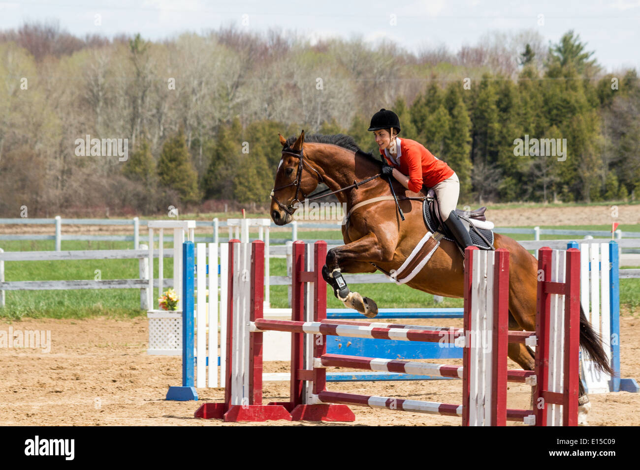 Bay horse with woman rider clearing an oxer at a local horse schooling show. Stock Photo