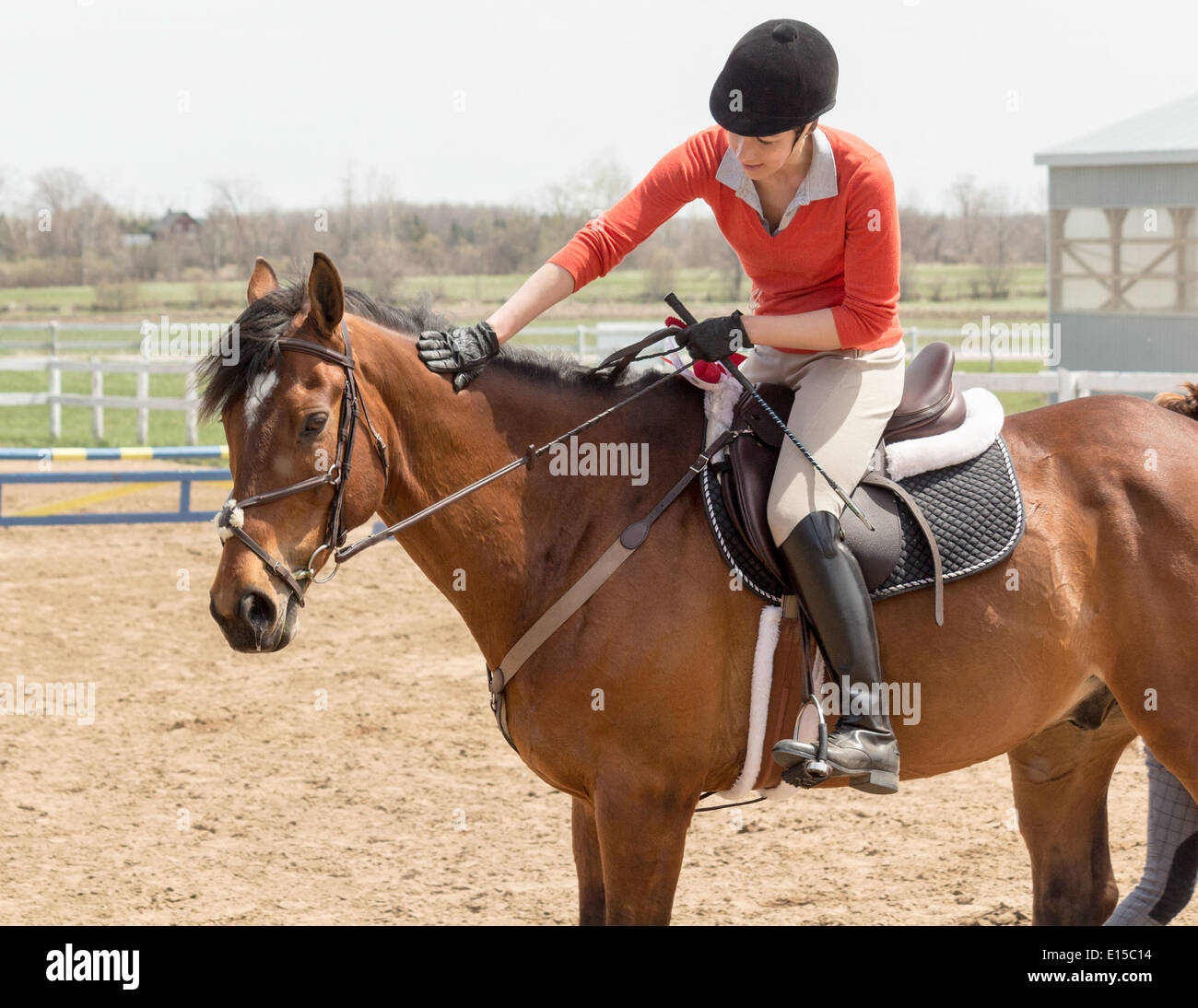Woman Patting Her Horse While Astride In Ehglish Riding Equipment And A9B