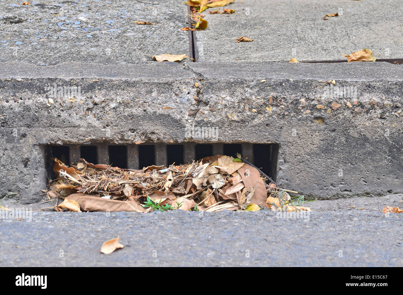 street storm drain with dry leave Stock Photo - Alamy