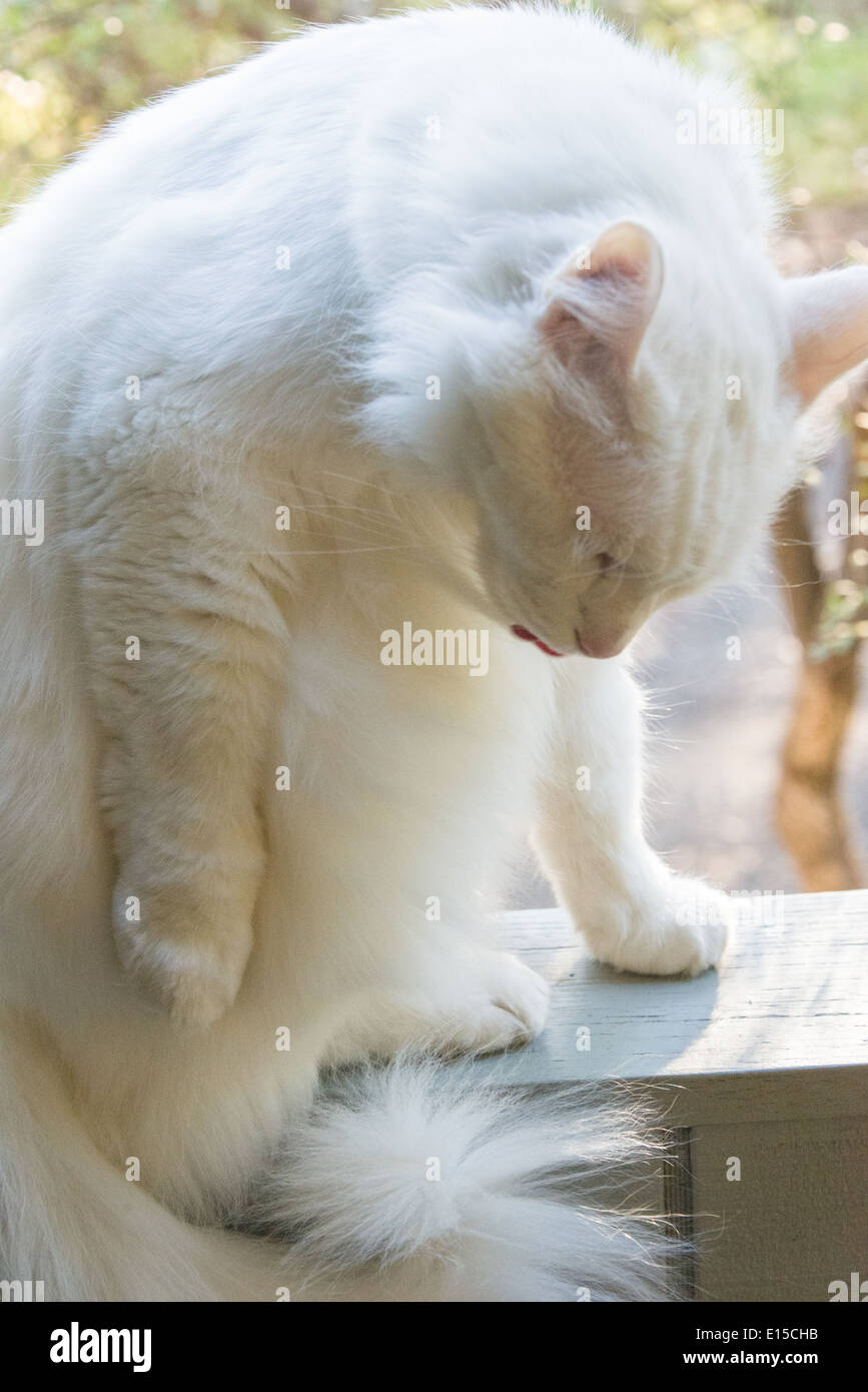 Gallery image with a fresh perspective