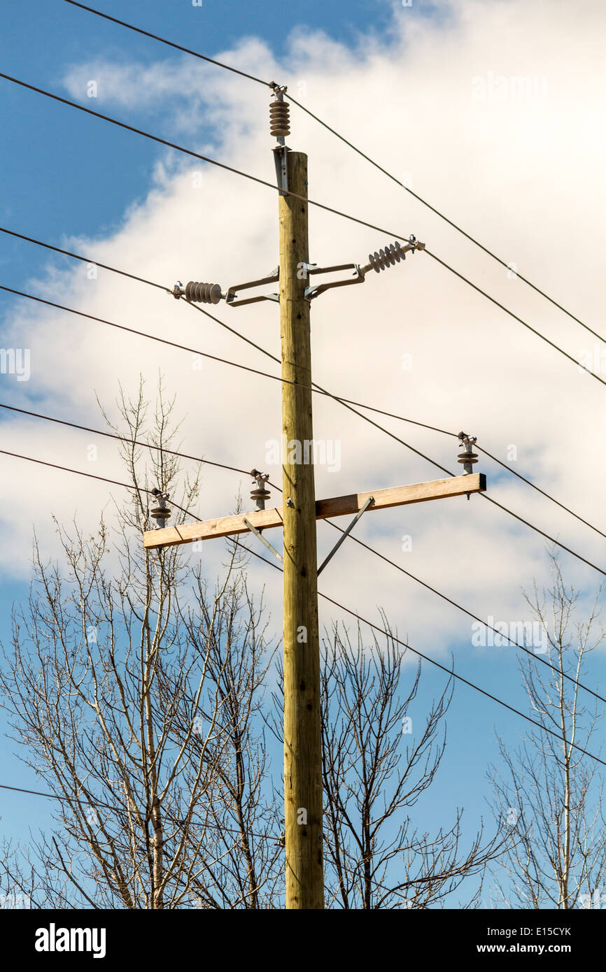 Hydro and telephone pole Stock Photo - Alamy