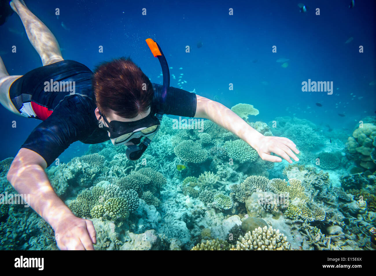 Snorkeler diving swimming under water. Stock Photo