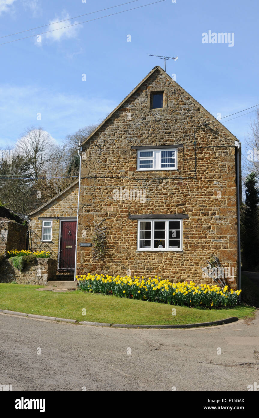 House with daffodils in bloom at the front in the north Oxfordshire village of Hook Norton Stock Photo
