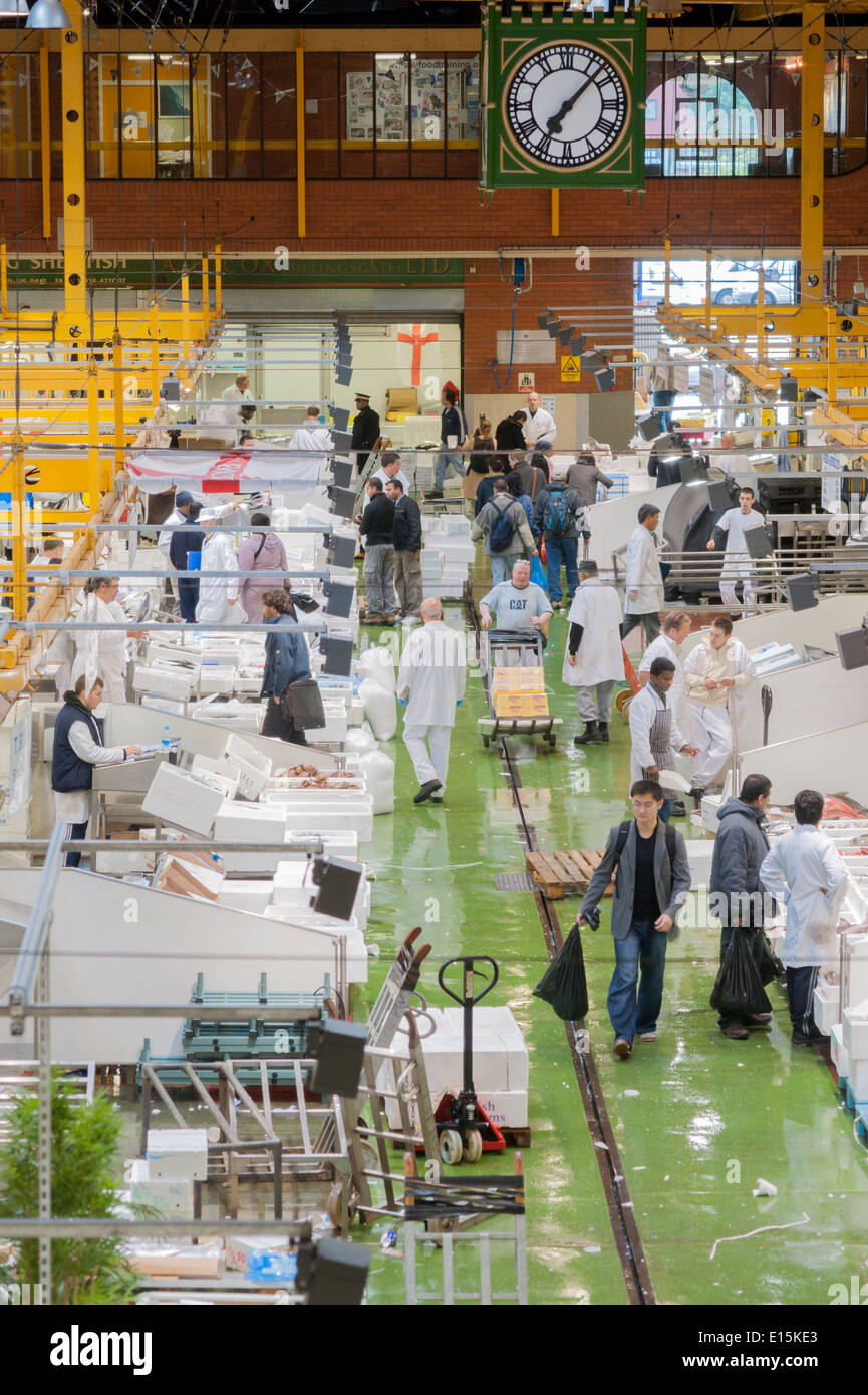 The main trading hall of London's Billingsgate Fish Market, seen from