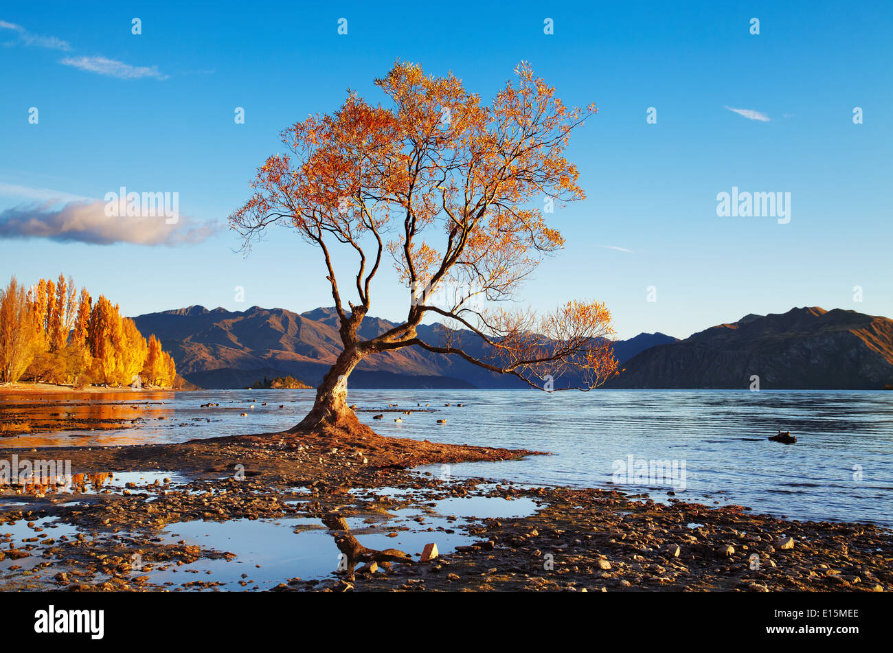Autumn landscape, lake Wanaka, New Zealand Stock Photo