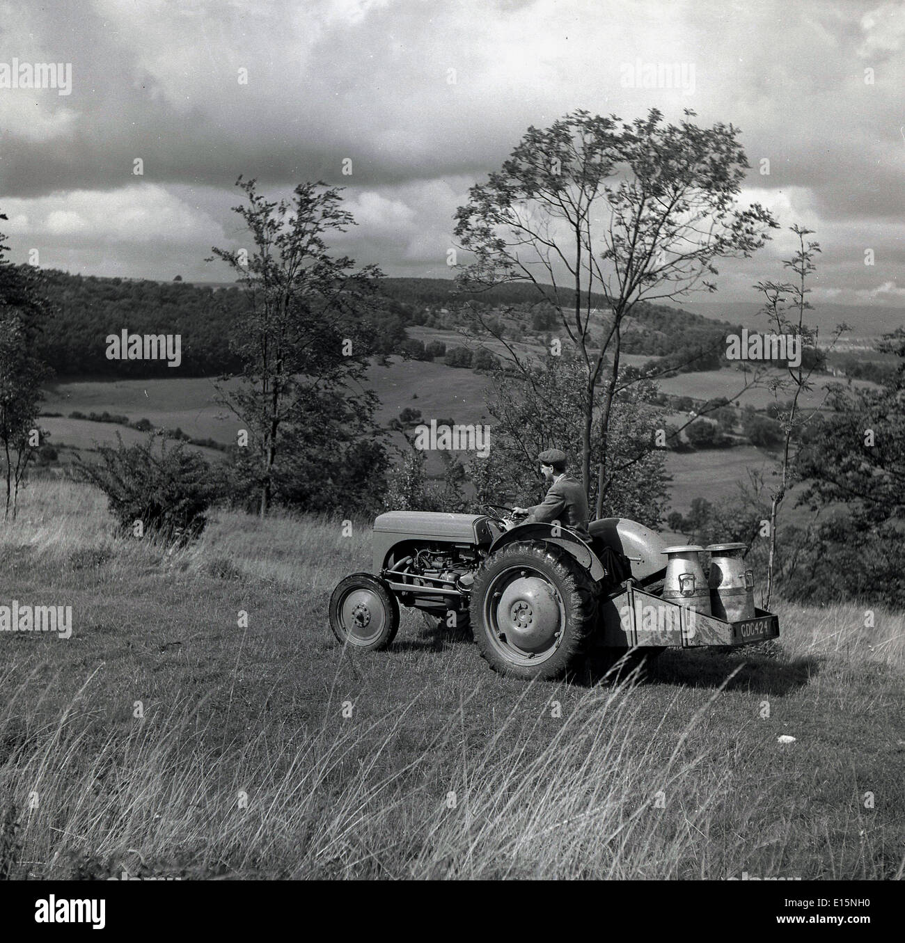 1950s, historical, a farmer driving his tractor across a field with two metal milk churns on the back, with the rolling countryside behind, England. Stock Photo