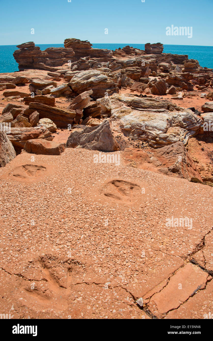 Australia, Western Australia, Broome, Gantheaume Point. Replica of 130-million-year-old dinosaur footprints. Stock Photo