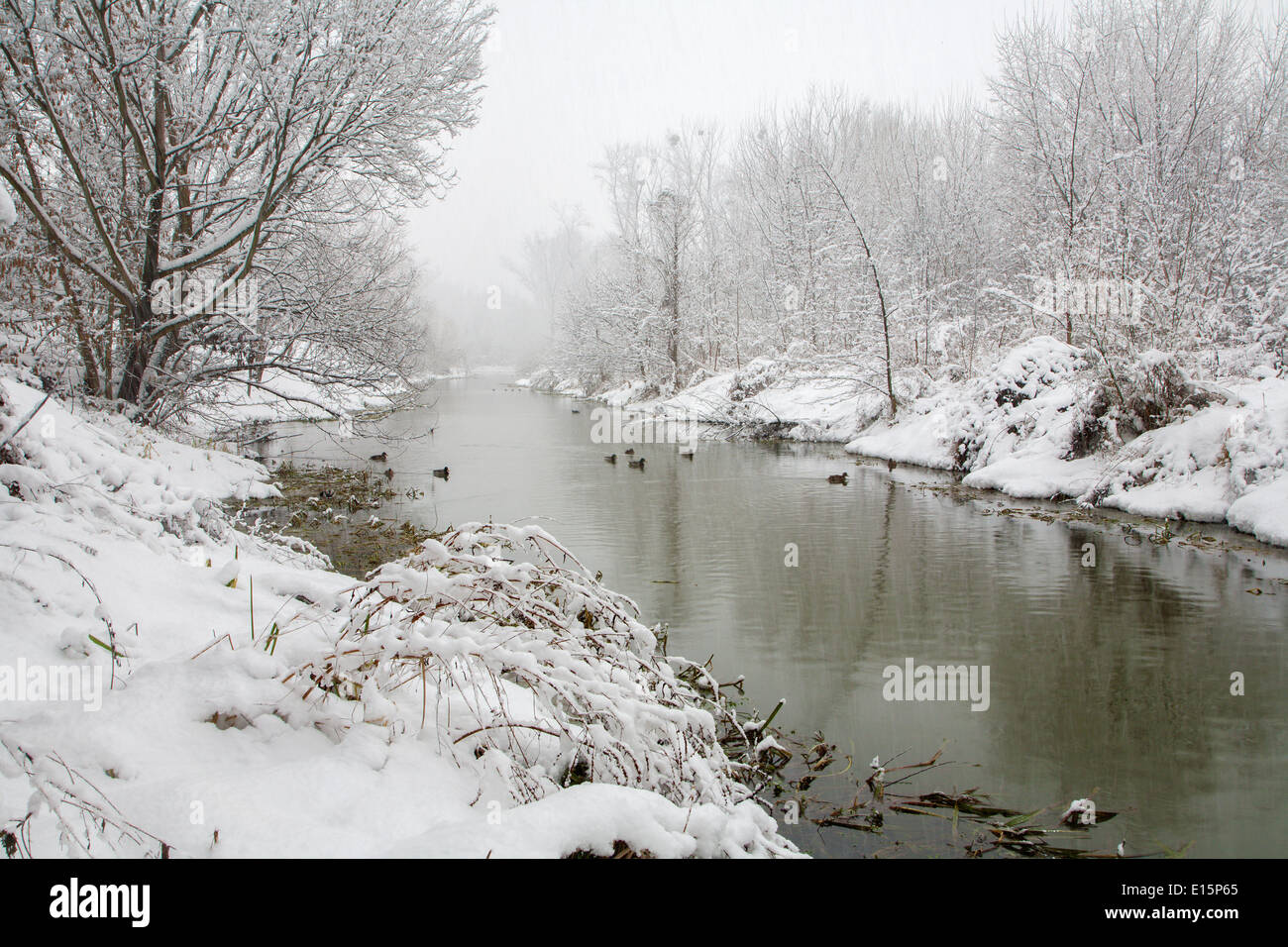 river Little Danube in winter - west Slovakia Stock Photo