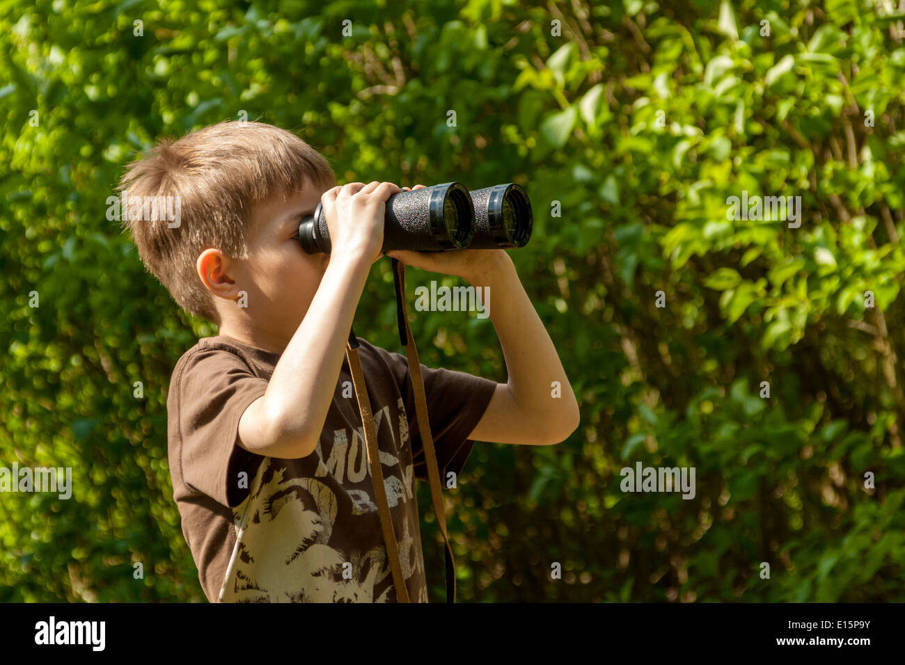 Boy watching birds through binoculars in a forest Stock Photo Alamy