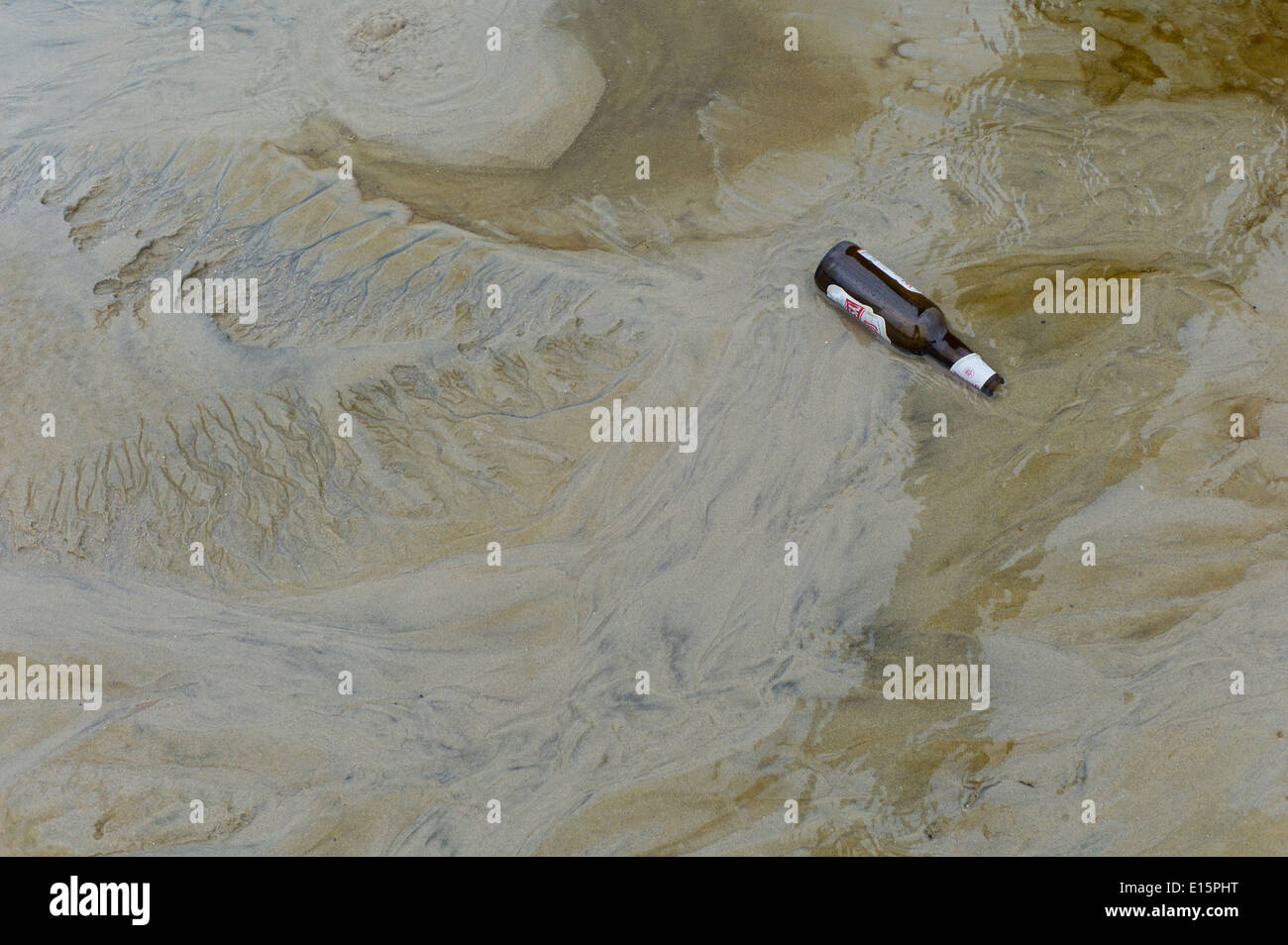 Empty beer bottle in wet sand, beach Stock Photo Alamy