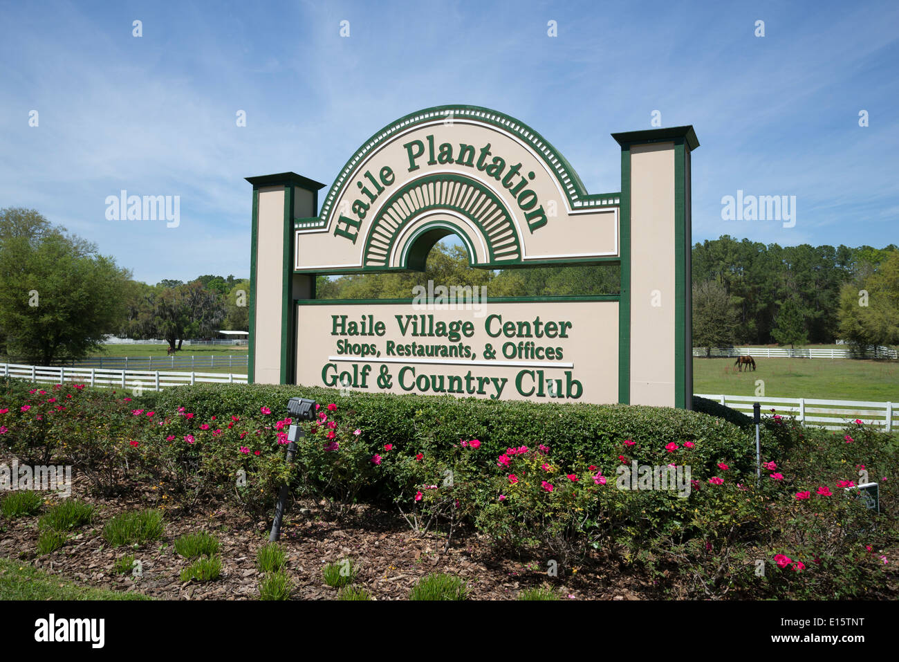 Haile Plantation Gainesville Florida