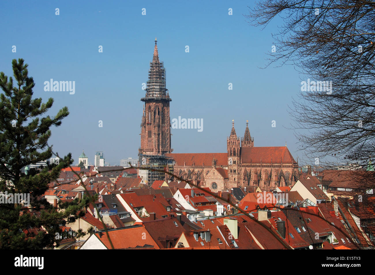 The Münster (Cathedral) of Freiburg im Breisgau, Germany Stock Photo