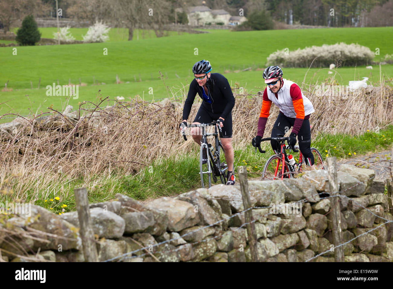 Two cyclists riding in a lane near Timble, North Yorkshire UK Stock Photo