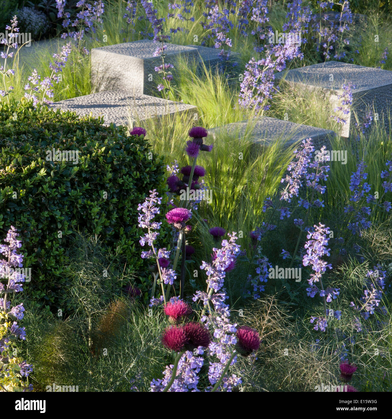 Chelsea flower show People's Choice winner & Silver Gilt medal