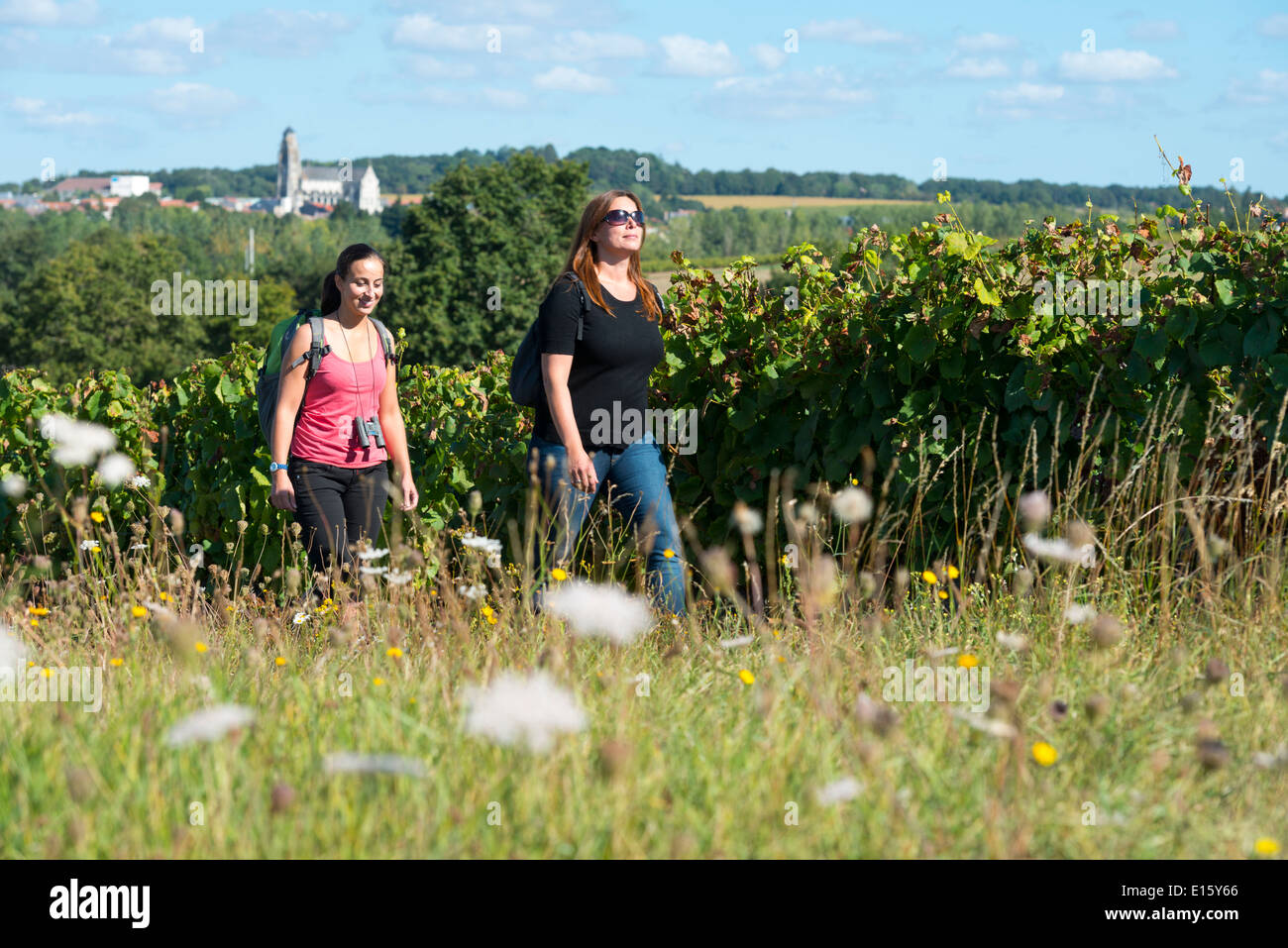 Hiking in vineyard of the country of Nantes, in Clisson area (Pays de la Loire region): Stock Photo