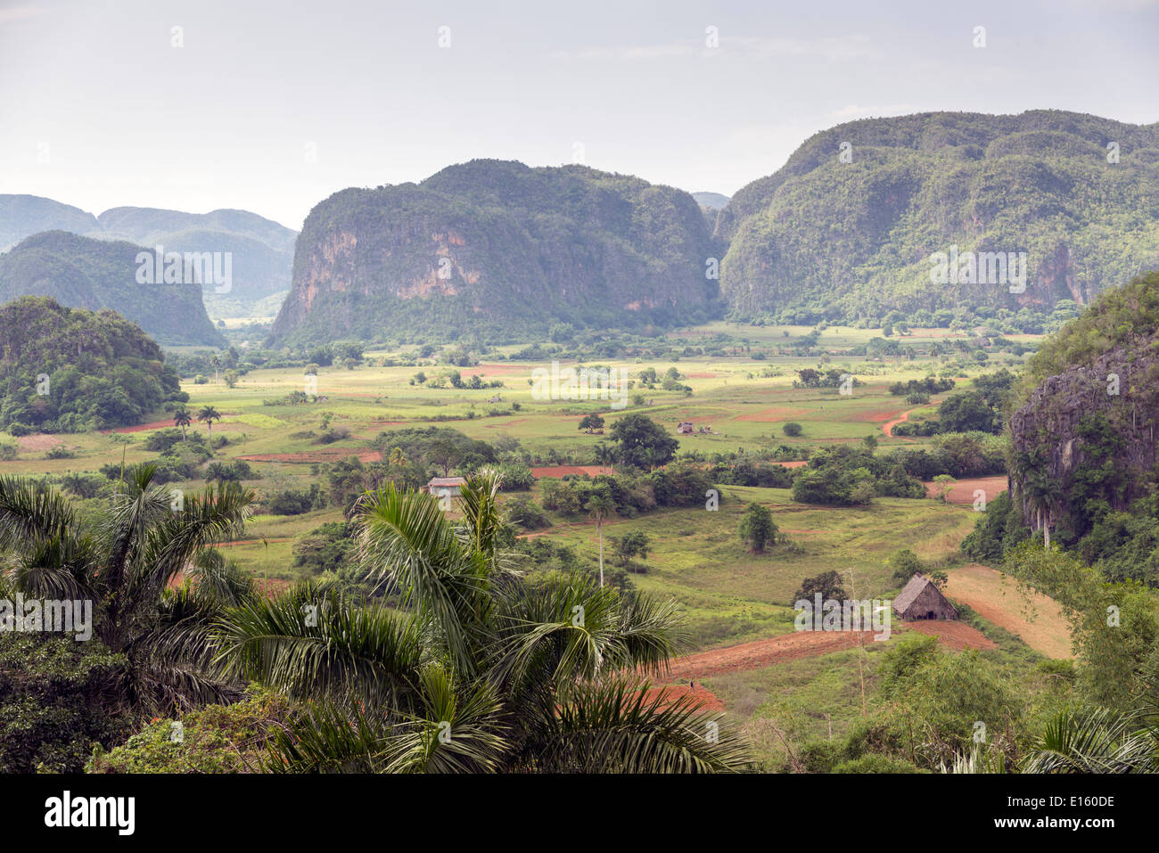 Mogotes in Vinales Valley in Cuba. The Vinales Valley has been on UNESCO’s World Heritage List since November 1999 as a cultural Stock Photo