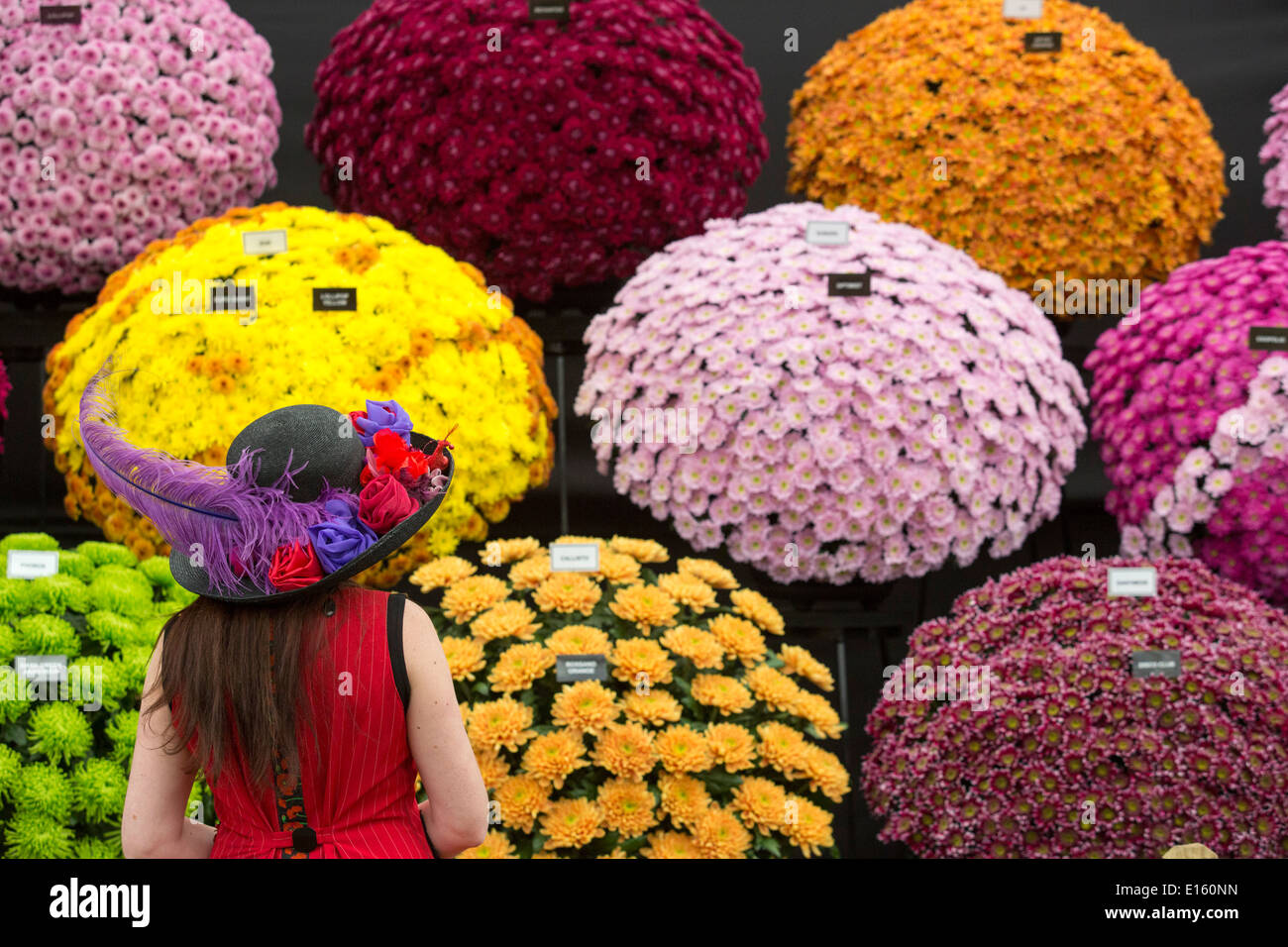 A woman with a flowery hat stands in front of a floral display at the RHS Chelsea Flower Show Stock Photo