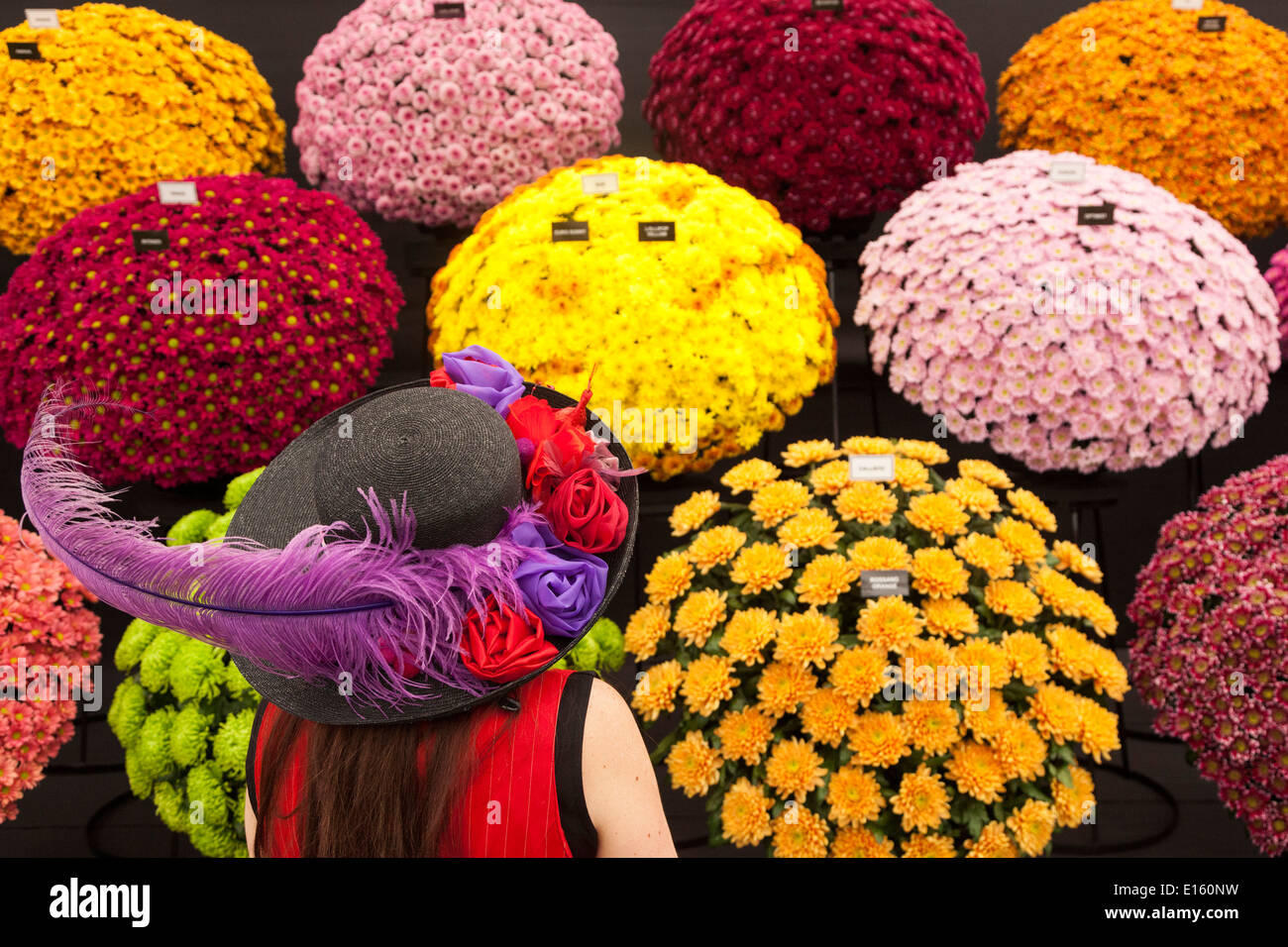 A woman with a flowery hat stands in front of a floral display at the RHS Chelsea Flower Show Stock Photo
