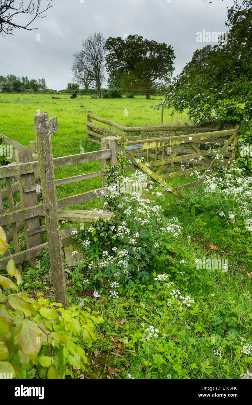 Farm gate , stile and 'public footpath' sign, Norfolk, England Stock Photo
