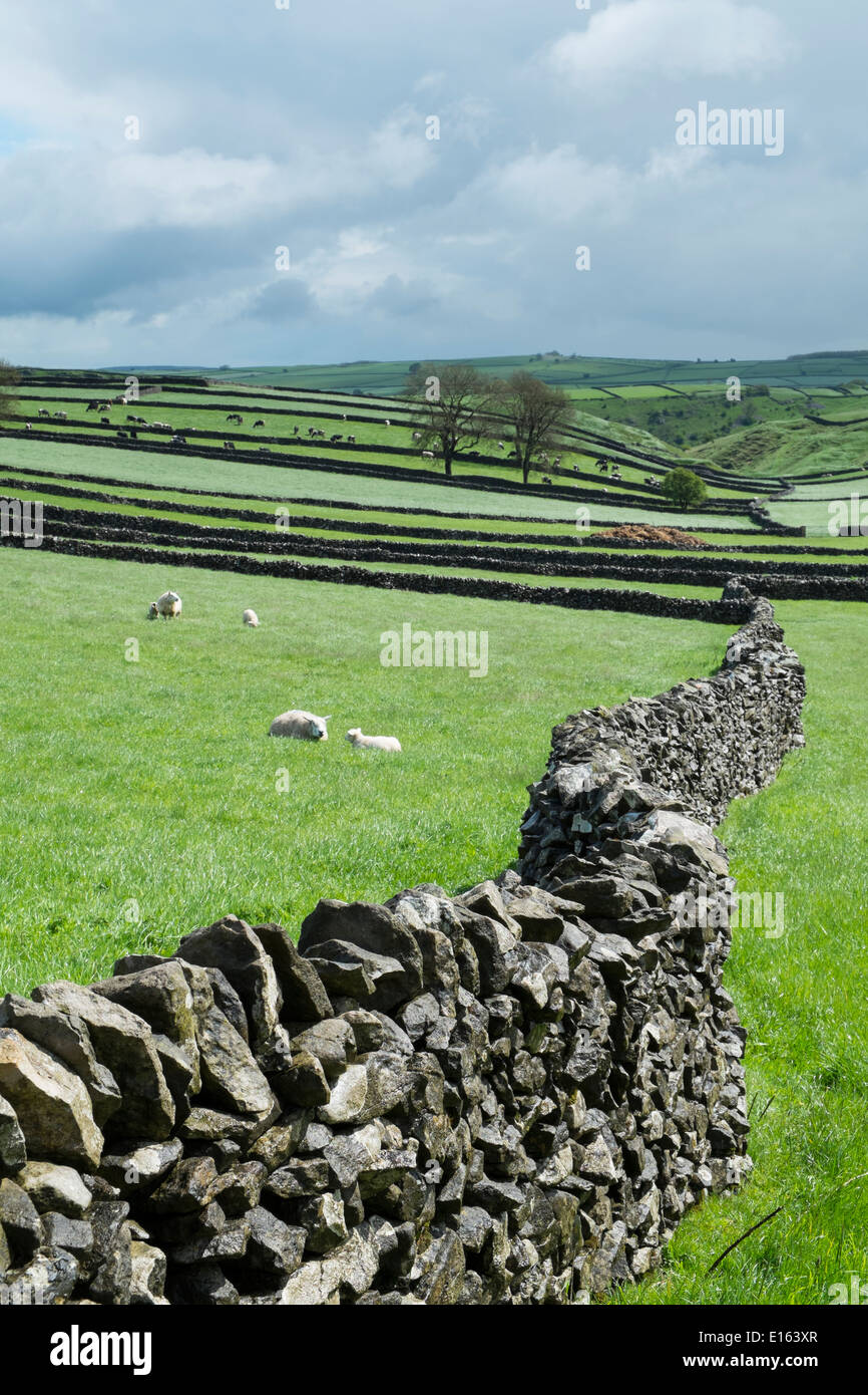 Farmland , Looking towards Tansley dale, Nr Litton, Peak District National Park, Derbyshire, England. Stock Photo