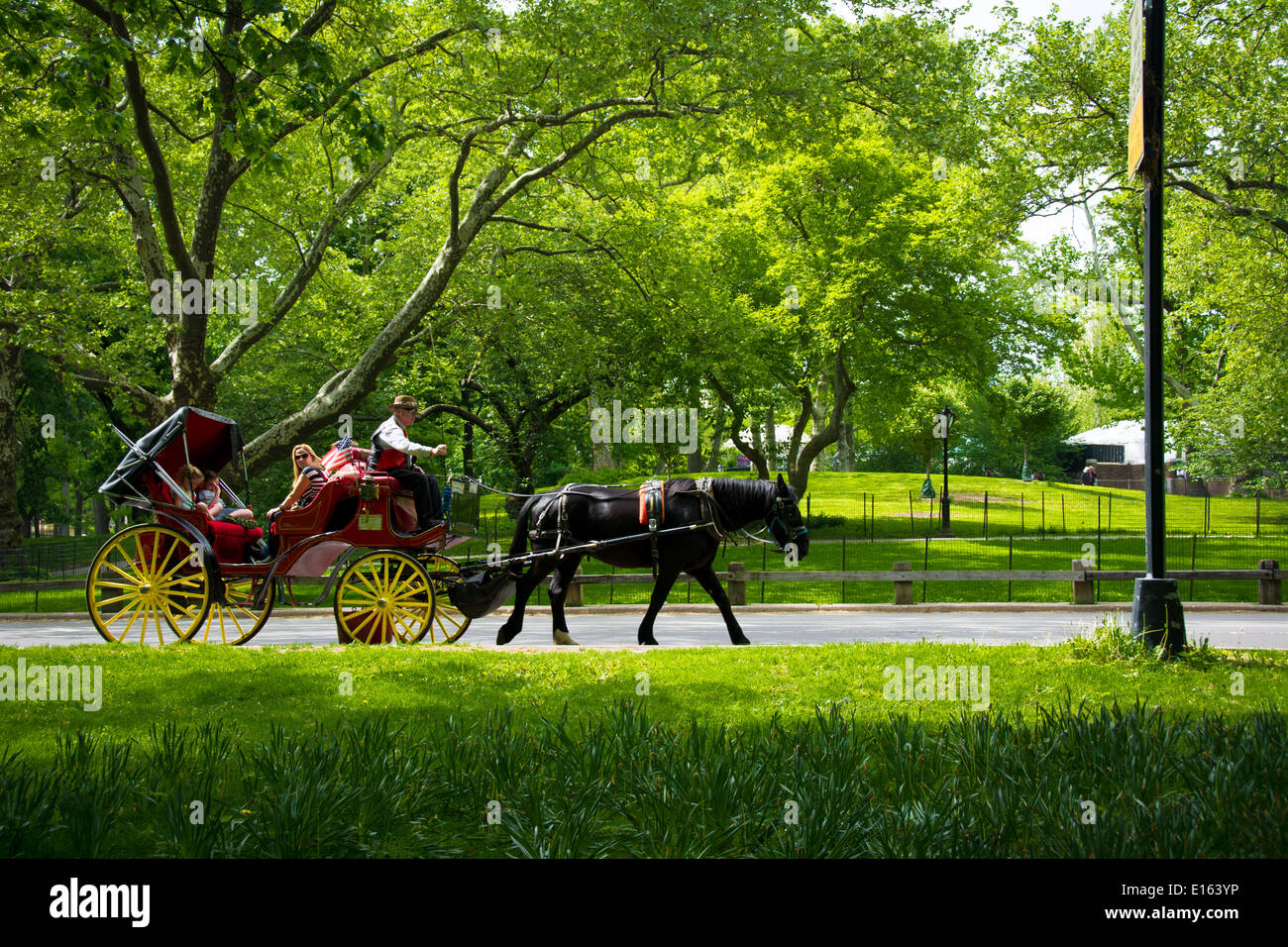 A horse and carriage is a common sight in Central Park, New York city, New York, USA. Stock Photo