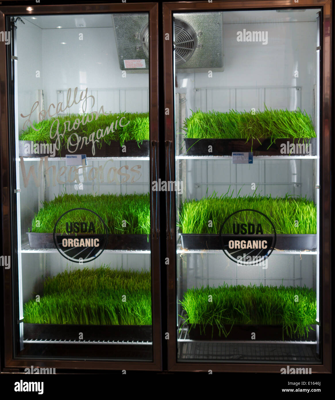 Locally grown USDA organic wheatgrass Stock Photo