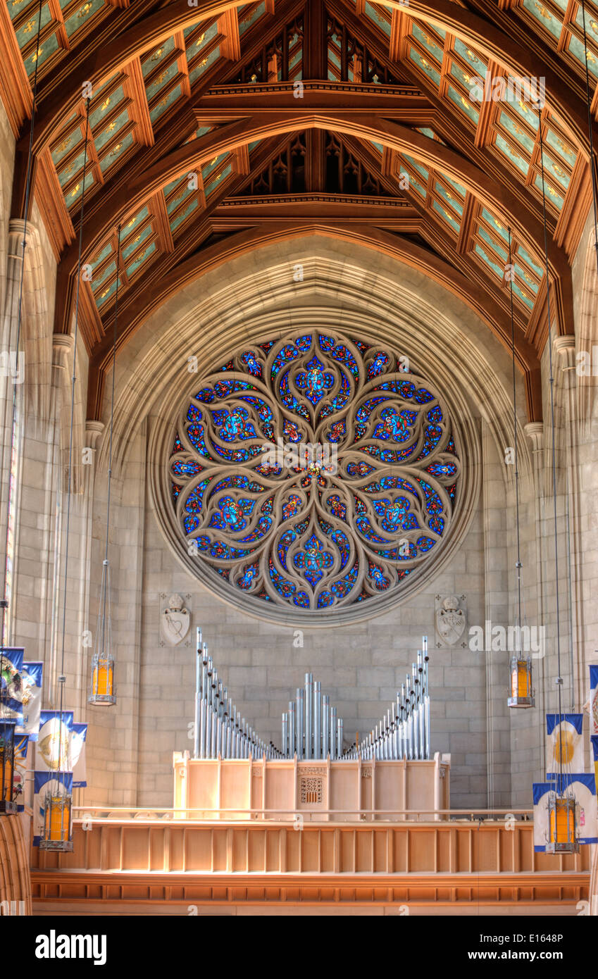 Pipe Organ And Cathedral Ceilings Stock Photo 69591222 Alamy
