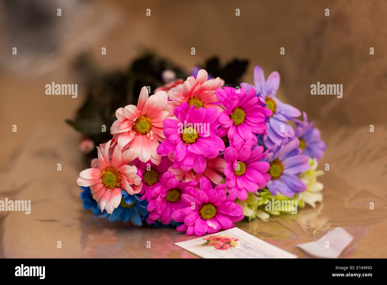 Colorful Bouquet of daisy's. Stock Photo