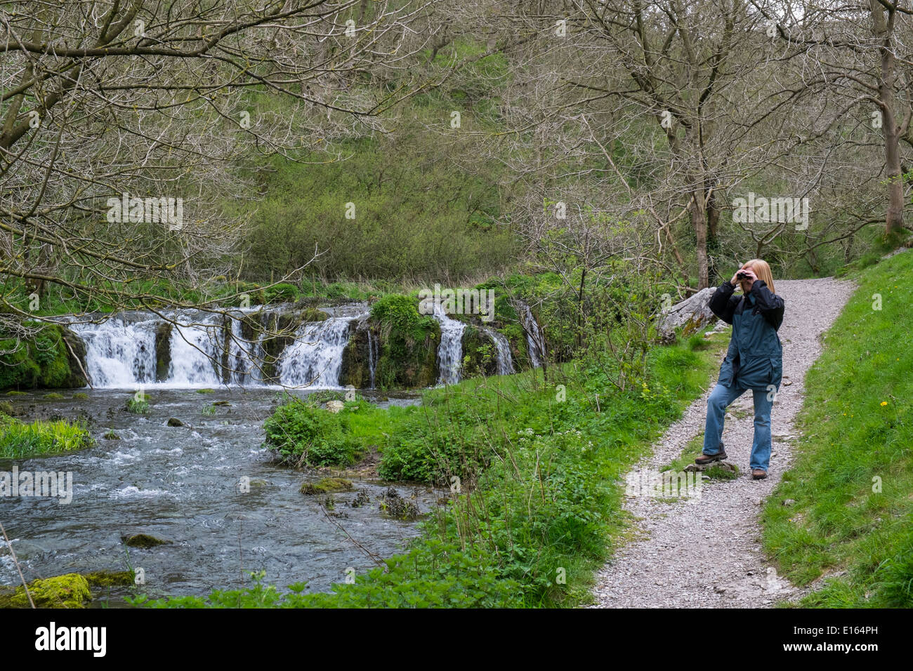 View of the River Lathkill, Lathkill dale, Peak District National Park, Derbyshire, England, May Stock Photo