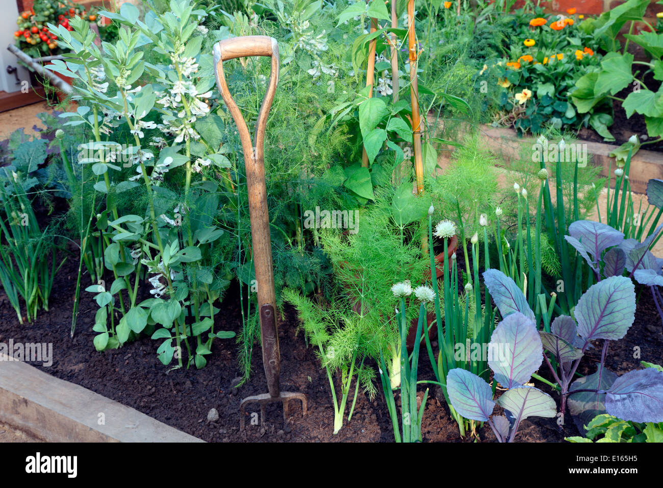 Vegetable patch at the Chelsea Flower Show Stock Photo