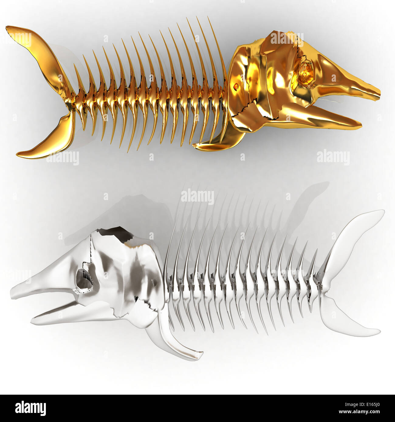 Fish Bone Structure Stock Photos & Fish Bone Structure Stock Images - Alamy