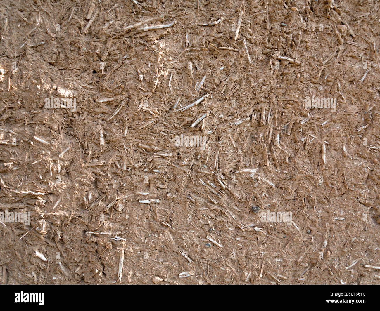 Close up detail of mud and straw plaster work Stock Photo Alamy