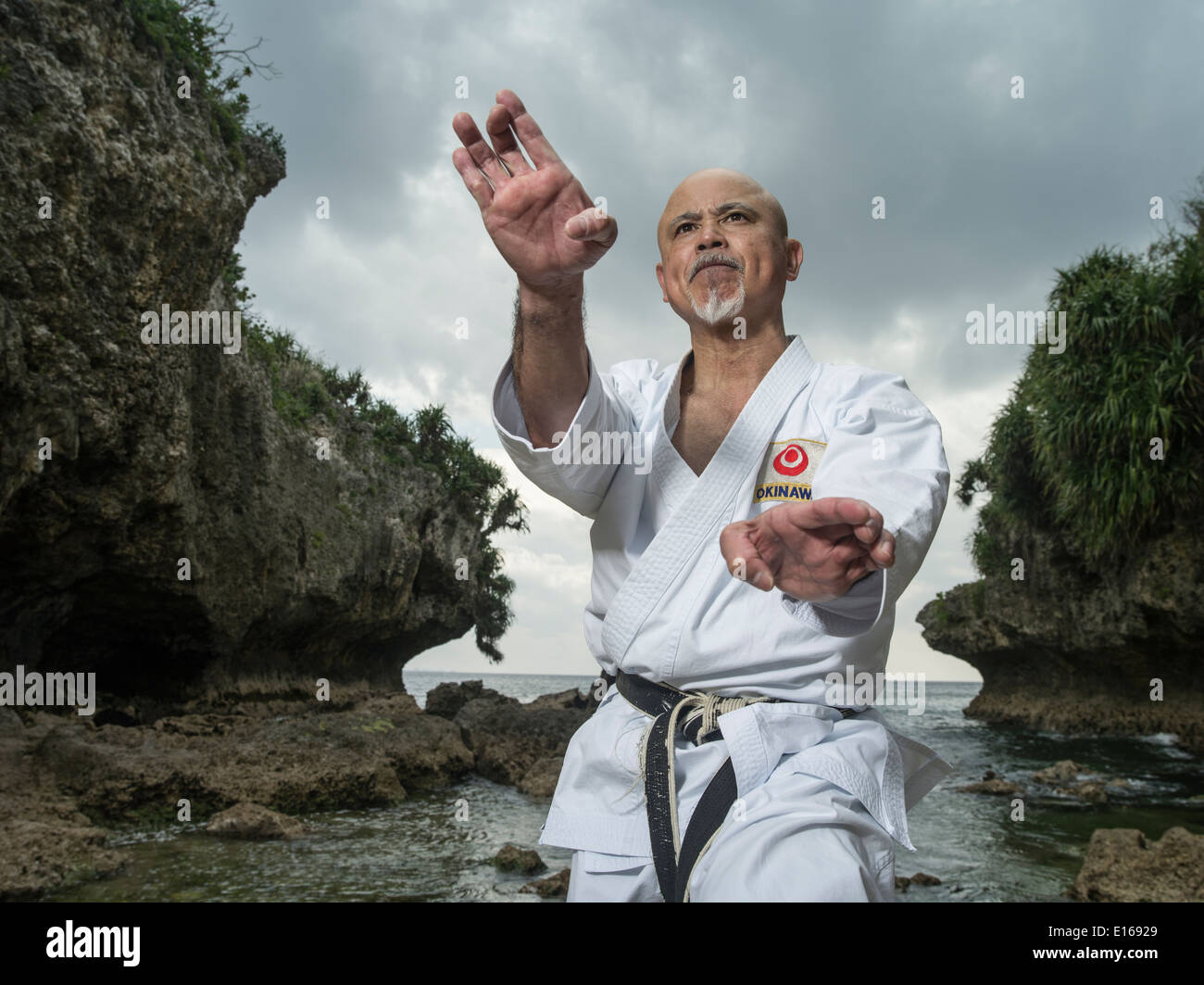 Karate master Narihiro Shinjo Uechi Ryu Karate, Training on the Stock