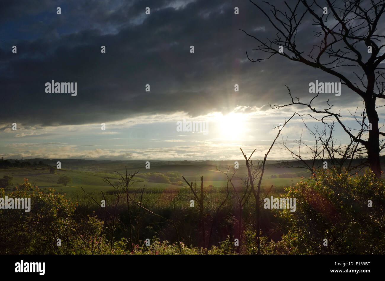 Rutland Leicestershire fields countryside Stock Photo Alamy