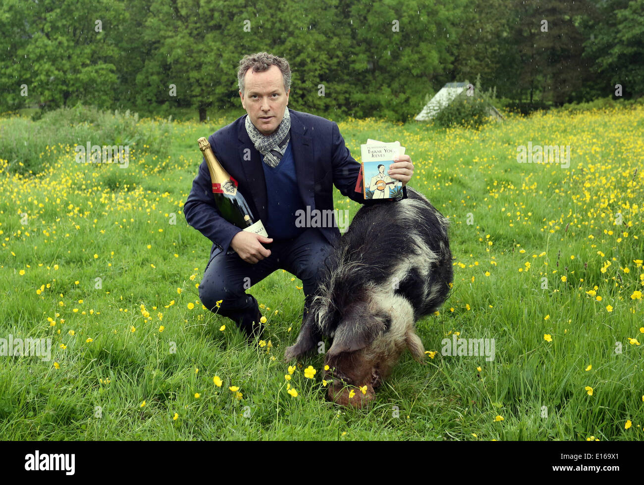 Hay on Wye, Wales, UK. 24th May, 2014.   Pictured: Edward St Aubyn who has won the 15th Bollinger Everyman Wodehouse Prize for Comic Fiction, with his novel Lost For Words, a satire on literary prizes.  Re: The Telegraph Hay Festival, Hay on Wye, Powys, Wales UK. Stock Photo