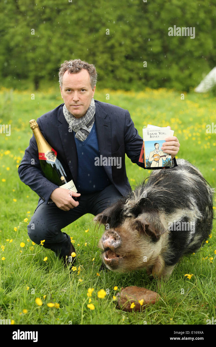 Hay on Wye, Wales, UK. 24th May, 2014.   Pictured: Edward St Aubyn who has won the 15th Bollinger Everyman Wodehouse Prize for Comic Fiction, with his novel Lost For Words, a satire on literary prizes.  Re: The Telegraph Hay Festival, Hay on Wye, Powys, Wales UK. Stock Photo