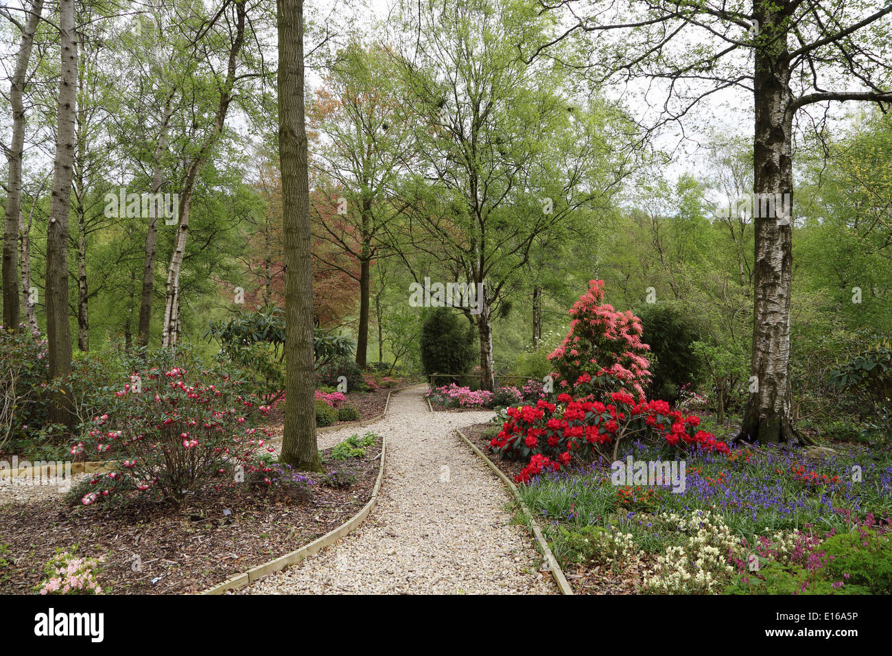 The Himalayan Garden Ripon Stock Photo Alamy