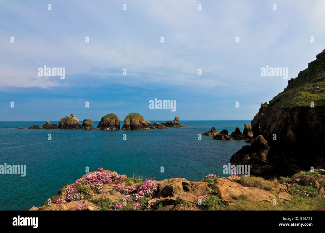 9240. Coastal View near Creux Harbour, Sark, Channel Islands, UK, Europe Stock Photo